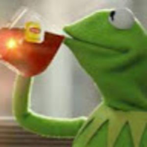 Meet your Posher, Maia